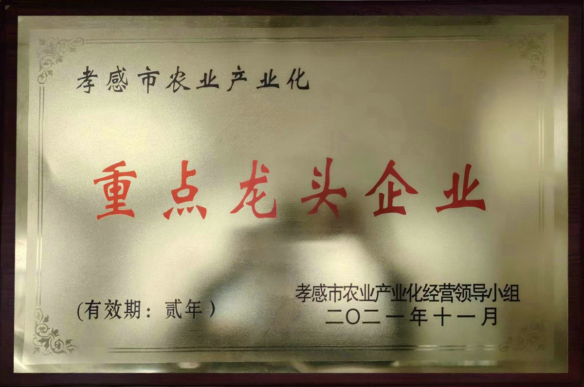 重点龙头企业